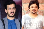 Surendar Reddy, Akhil Akkineni and Surendar Reddy, akhil akkineni and surendar reddy joins hands, Coronavirus lockdown