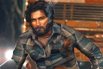 Pushpa latest, Pushpa breaking news, allu arjun s pushpa first single loading, M n nambiar
