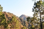 Kasauli new updates, Kasauli breaking, amazing things to do and see in kasauli, Beauty