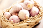 Chinese garlic breaking, Chinese garlic new breaking, how to identify banned chinese garlic in the indian market, Chinese garlic