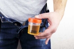 Hidden Kidney Cancer Risks breaking, Hidden Kidney Cancer Risks latest, spotting blood in urine can reveal hidden kidney cancer risks, Bengaluru
