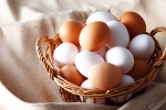 Brown Eggs Vs White Eggs comparision, Brown Eggs Vs White Eggs which is bad, brown eggs vs white eggs which is healthy, Nri