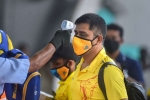 IPL, IPL, csk indian player 11 support staff test positive for covid 19, Ipl 2020