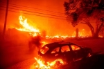 California, California Wildfire loss, california declares wildfire emergency, Metro