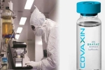 Coronavirus vaccine, Coronavirus vaccine, covaxin india s 1st covid 19 vaccine to get approval for human trials, Covaxin