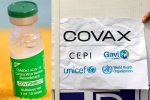 SII, COVAX updates, sii to resume covishield supply to covax, Covax