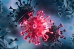 USA Coronavirus breaking updates, USA Coronavirus updates, delta variant makes usa tensed again, Usa coronavirus
