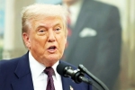 Sergio Gor latest, Sergio Gor latest, donald trump names close political aide as india ambassador, Elon musk