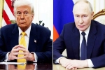 Vladimir Putin, Donald Trump and Vladimir Putin, all about donald trump and vladimir putin s call, President trump