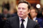 Elon Musk Epstein Files new updates, Elon Musk Epstein Files updates, elon musk named in new epstein files, Rats
