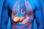 Fatty Liver, Fatty Liver in Youngsters food, why is fatty liver affecting youngsters, Overweight