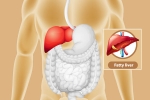 Fatty Liver changes, Fatty Liver prevention, dangers of fatty liver, Cancer