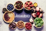 Antioxidants Food new breaking, Antioxidants Food list, everyday foods rich in antioxidants for diabetes, Healthy diet Antioxidants Food new breaking, Antioxidants Food list, everyday foods rich in antioxidants for diabetes, Healthy diet