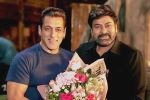 Chiranjeevi Salman Khan announcement, Chiranjeevi Salman Khan latest, official god father team confirms salman khan s cameo, Godfather