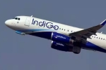Central Asian cities Indigo Flights canceled, Central Asian cities, indigo cancels flights to central asian cities till feb 11th, Flights Central Asian cities Indigo Flights canceled, Central Asian cities, indigo cancels flights to central asian cities till feb 11th, Flights