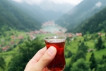 International Tea Day breaking, International Tea Day news, international tea day 2025 facts and significance, Tse