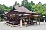 Japan Viral Mikami Shrine breaking news, Japan Viral Mikami Shrine breaking news, why are travellers flocking to japan s viral mikami shrine, Rti