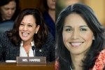 Tulsi Gabbard, kamala harris vs tulsi gabbard, kamala harris tulsi gabbard to begin campaign in february, Presidential primaries