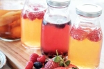 Kombucha and Fermented Foods for health, Kombucha and Fermented Foods health updates, health benefits of kombucha and fermented foods, Ibs
