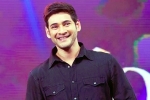 Sarkaru Vaari Paata updates, Sarkaru Vaari Paata updates, bollywood beauty for mahesh babu, Bharat ane nenu