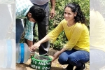 water for birds in summer, Durga Sura, meet durga sura an nri striving to serve water for stray animals and birds this harsh summer, Stray animals