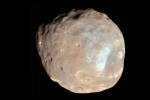 NASA breaking, NASA, nasa s pic of martian moon phobos breaks the internet, The martian