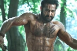 Ramaraju for Bheem teaser update, Ramaraju for Bheem review, ramaraju for bheem ntr s deadly transformation as komaram bheem, Best actors Ramaraju for Bheem teaser update, Ramaraju for Bheem review, ramaraju for bheem ntr s deadly transformation as komaram bheem, Best actors