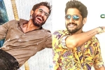Naga Chaitanya updates, Naga Chaitanya new films, naga chaitanya gearing up with two films, Kalyan krishna kurasala