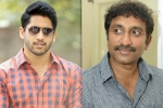 Naga Chaitanya next movie, Srinu Vaitla next film, naga chaitanya to work with srinu vaitla, Mister