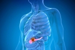 Pancreatic Cancer advise, Pancreatic Cancer risk, how to protect yourself from pancreatic cancer, Doct