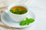 Peppermint Tea latest update, Peppermint Tea news, what happens when you drink peppermint tea every night, Healthy diet