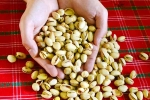 Pistachios, Pistachios protein, pistachios are a perfect protein snack, Nutrition