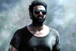 Prabhas news, Prashanth Neel, prabhas salaar to have malayalam star, Shruthi haasan