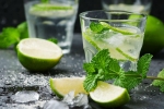 recipe, non- alcoholic, recipe of virgin mojito, Alcoholics recipe, non- alcoholic, recipe of virgin mojito, Alcoholics