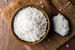 Sabudana news, Sabudana, is sabudana good for health, Cooking