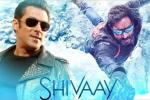 Shivaay, Salman Khan, salman khan to promote shivaay, Big boss