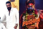 Pushpa: The Rule, Mythri Movie Makers, sanjay dutt s surprise in pushpa the rule, Rashmika mandanna