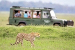 South African Safari Trip latest, South African Safari Trip list, how to plan your south african safari trip, Garden
