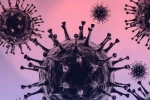 Omicron side effects, Omicron side effects, south african scientists about omicron variant, Communicable diseases