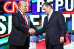 Donald Trump, Ted Cruz, ted cruz says donald trump is a bully, Presidential primaries