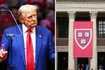 Donald Trump, Donald Trump news, trump demands 1 billion as damages from harvard university, New york