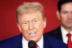Steve Hanke, Steve Hanke about Donald Trump, top us economist on trump s tariff war with india, Donald trump tariff