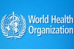 World Health Organization, World Health Organization news, usa withdraws from world health organization, Covid 19 World Health Organization, World Health Organization news, usa withdraws from world health organization, Covid 19