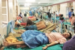 dengue wikipedia, iron deficiency anaemia, people with low iron levels in blood likely to transmit dengue, Dengue fever