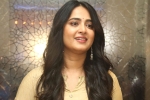 Anushka latest updates, Anushka upcoming projects, anushka s next project updates, Anushka shetty