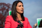 tulsi gabbard president, abraham williams tulsi gabbard, being targeted for being a hindu claims tulsi gabbard, 2014 elections