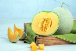 Muskmelon Seeds breaking, Muskmelon Seeds breaking, health benefits of muskmelon seeds, Muskmelon seeds