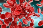 Blood Forming Stem Cells, Blood Cells, scientists generate blood forming stem cells, Stem cells