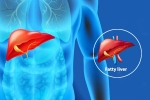 Fatty Liver Disease News breaking, Fatty Liver Disease News body, body organs that can be affected by fatty liver disease, Unhealthy eating habits