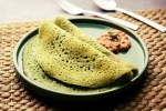 Curry Leaves Dosa preparation, Curry Leaves Dosa recipe, recipe curry leaves dosa, Tasty